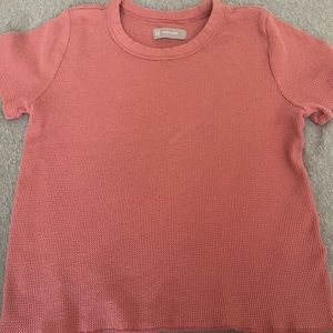 everlane waffle knit shirt